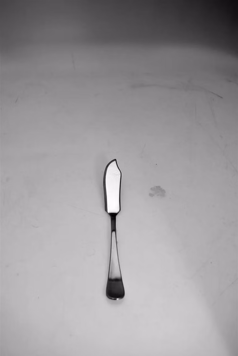Coltello Pesce Solaris, confezione da 12 pezzi