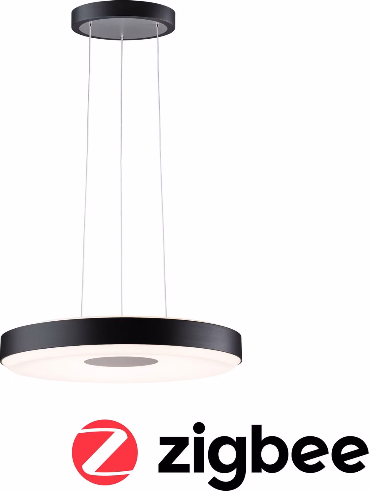 Paulmann Lampada a sospensione LED Puric Pane