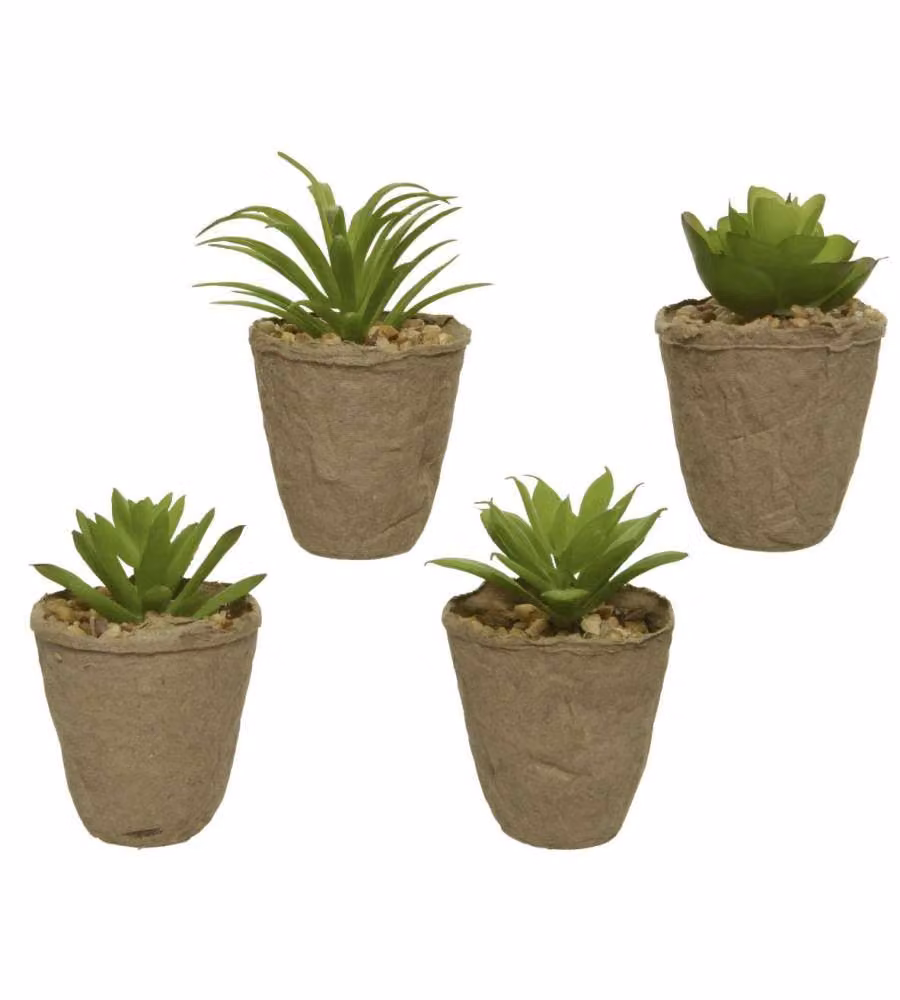 Pianta Grassa Artificiale con Vasetto in Cartone - 6xH8 cm