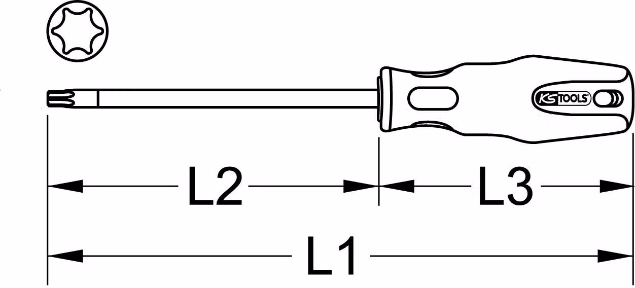 Cacciavite ERGOTORQUEplus, T20, lungo
