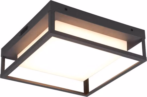 Plafoniera esterna LED Trio Leuchten Witham antracite 14W IP54