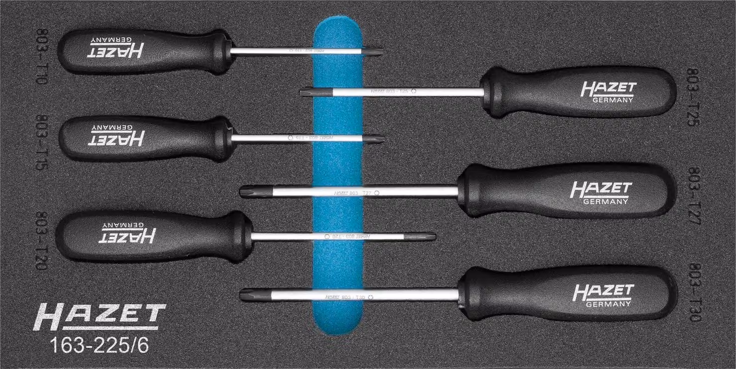 Set di cacciaviti Hazet TORX® 163-225/6
