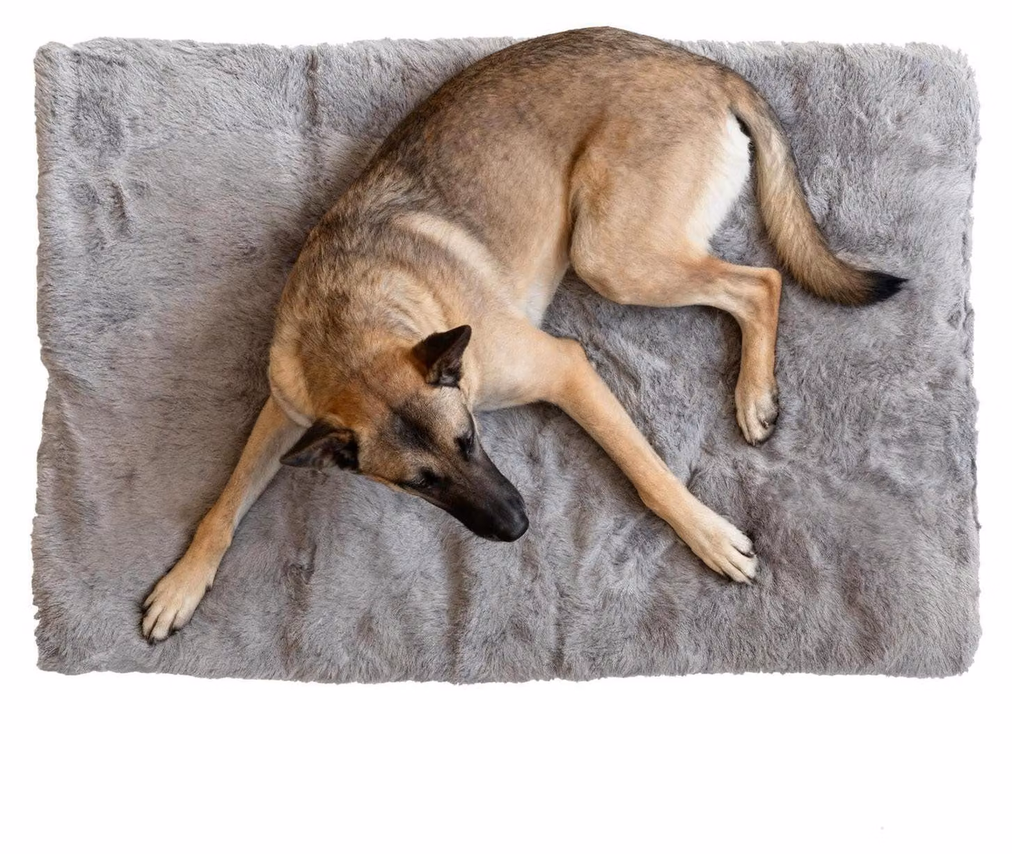 Cuscino morbido per cani, ideale per il riposo e il comfort, con base antiscivolo