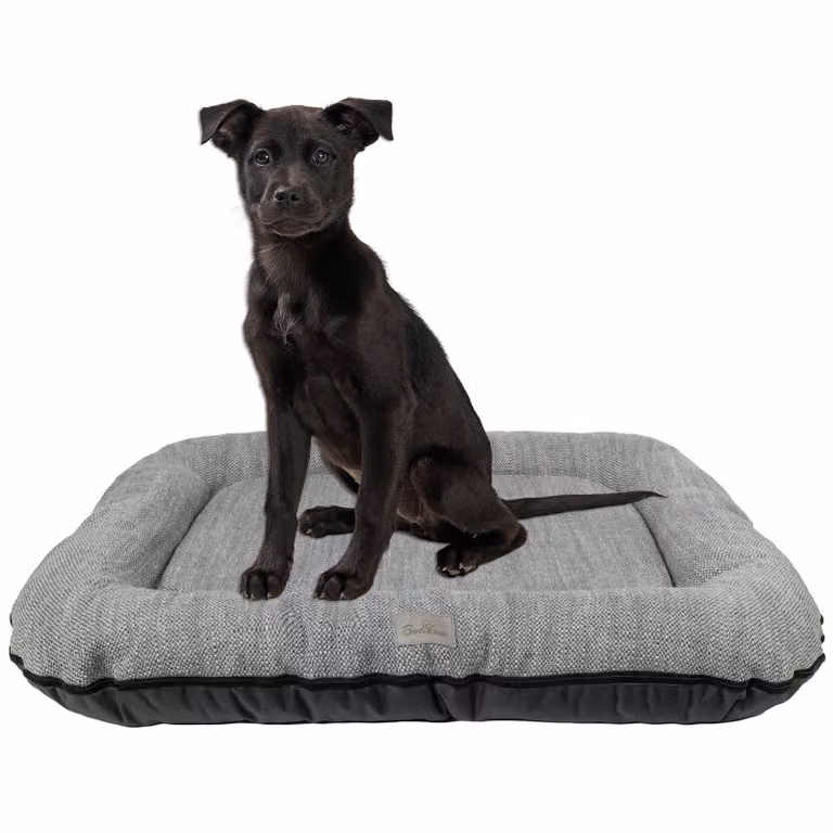 Cuccia per cani - Tappetino per cani impermeabile e lavabile in Codura | In & Outdoor per cani di piccola taglia | Colore: grigio, misura S: 70 x 50 cm
