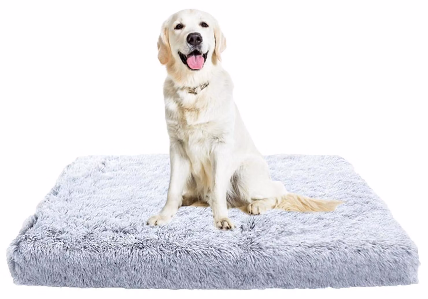 Materassino ortopedico per cani, antiscivolo, lavabile, color grigio chiaro, dimensioni 100x60x10 cm