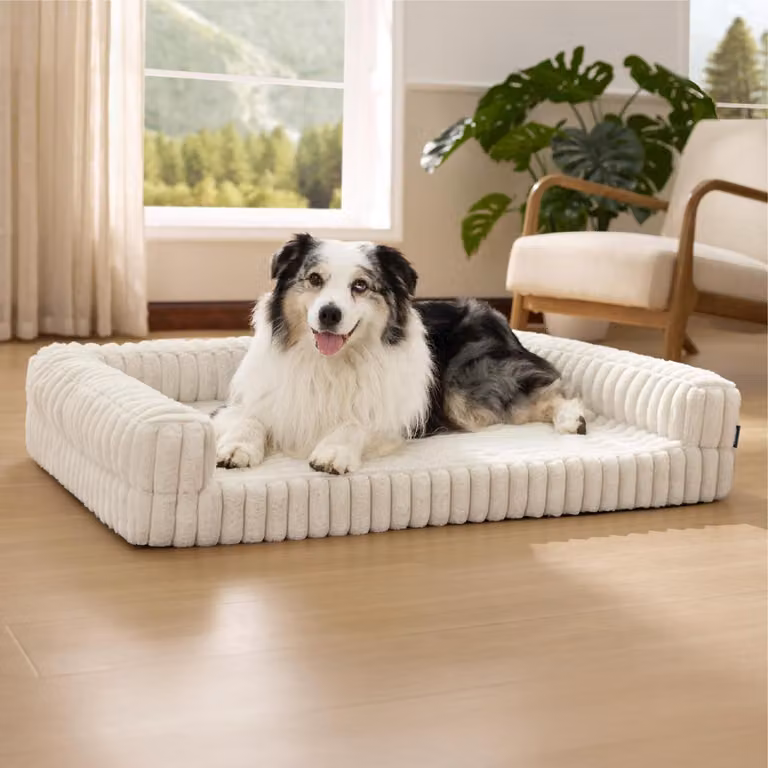 Cuccia ortopedica per cani, taglia grande, 106x76x18 cm, color crema