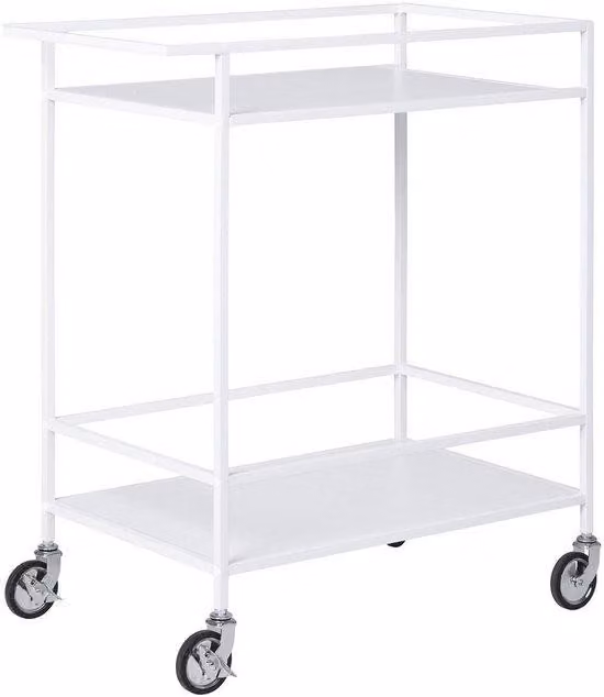 Veicolo di servizio per il trasporto di bevande - frigorifero portatile - gestione ottimale delle scorte - 68 cm x 40 cm x 79 cm