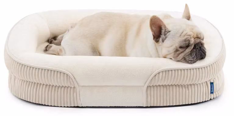 Cuccia ortopedica per cani, dimensioni 76x51x17 cm, colore crema, con rivestimento impermeabile e base antiscivolo