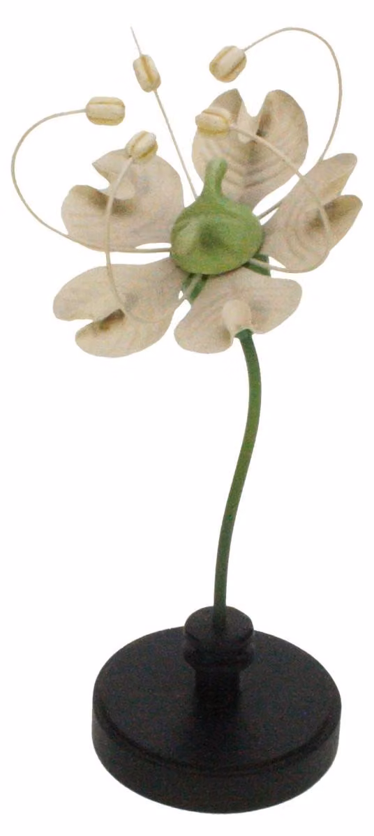 Meander, vaso botanico con fiore, colore crema, diametro 13 cm, altezza 30,5 cm