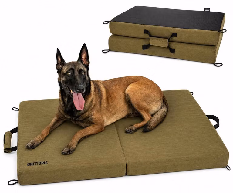 Tappetino pieghevole per cani, 110 x 68 x 9 cm, cuccia per cani in memory foam, colore verde