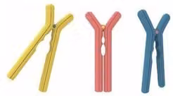 Schiaccianoci Rompi Pedrini in resina plastica multicolore 04GD297 6