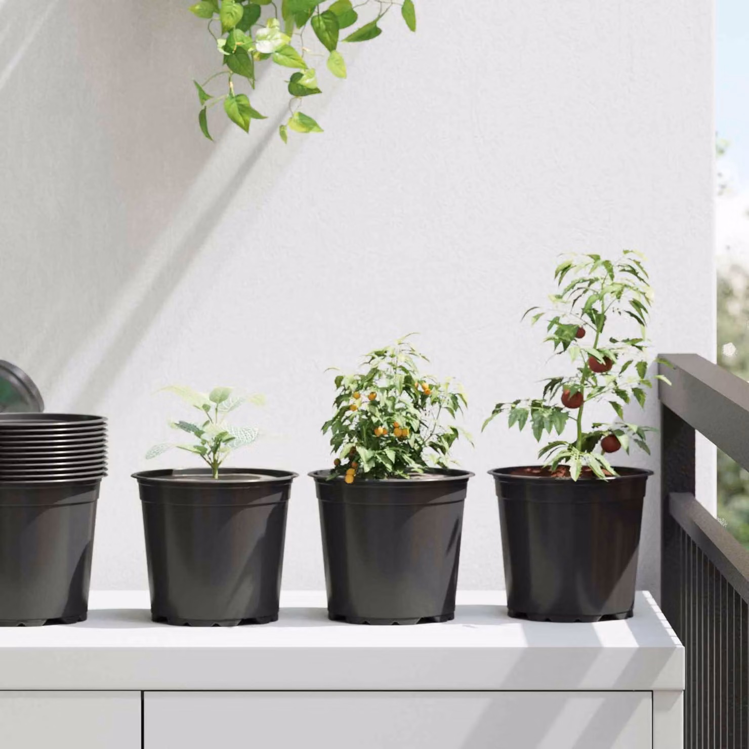 Set di 100 vasi rotondi per fiori vidaXL in plastica nera, Ø 15 cm x H 13 cm