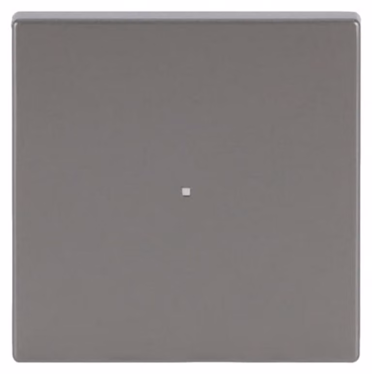 Bilanciere Busch-Jaeger in puro acciaio inox 6230-10-866
