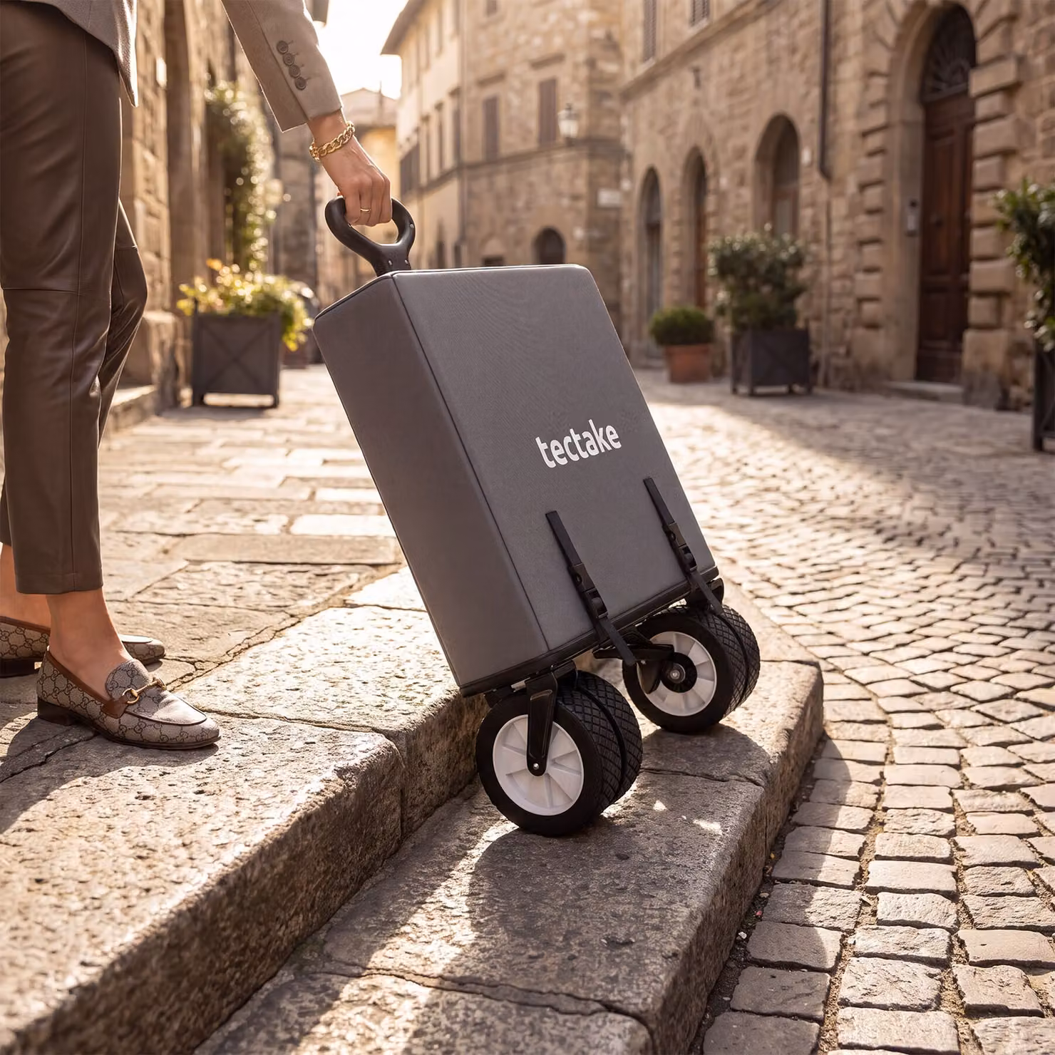 Carrello pieghevole Leon tectake con freni, capacità di carico 80 kg, grigio – 2