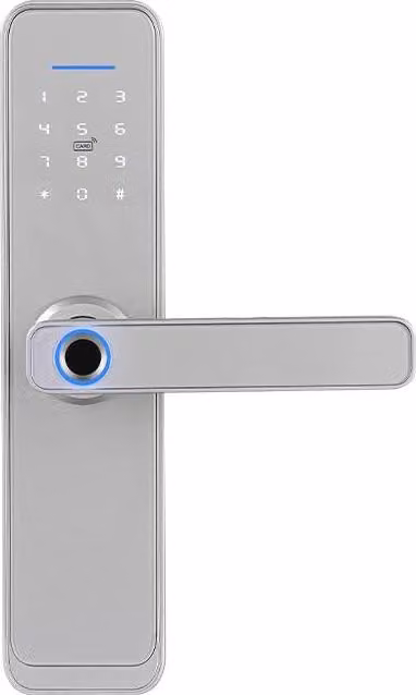 Serratura con maniglia elettronica e controllo degli accessi, tastiera, impronta digitale, scheda RFID, app TUYA SecureEntry HL200