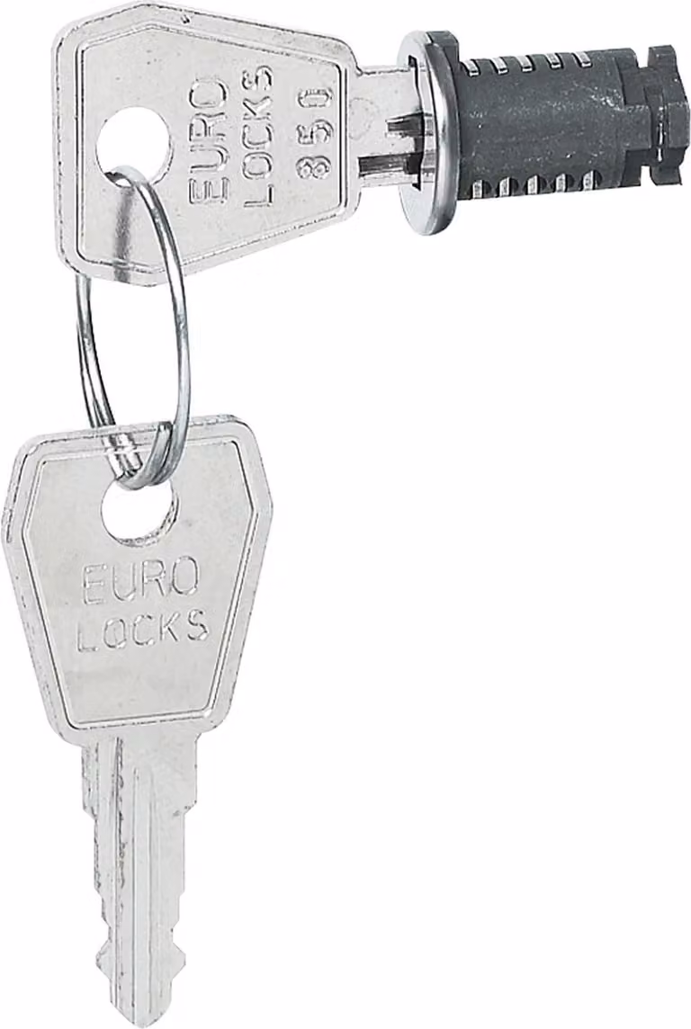 Serratura Legrand, 2 chiavi, chiusura n. 850, per porte di distribuzione Plexo³, 1 pz.