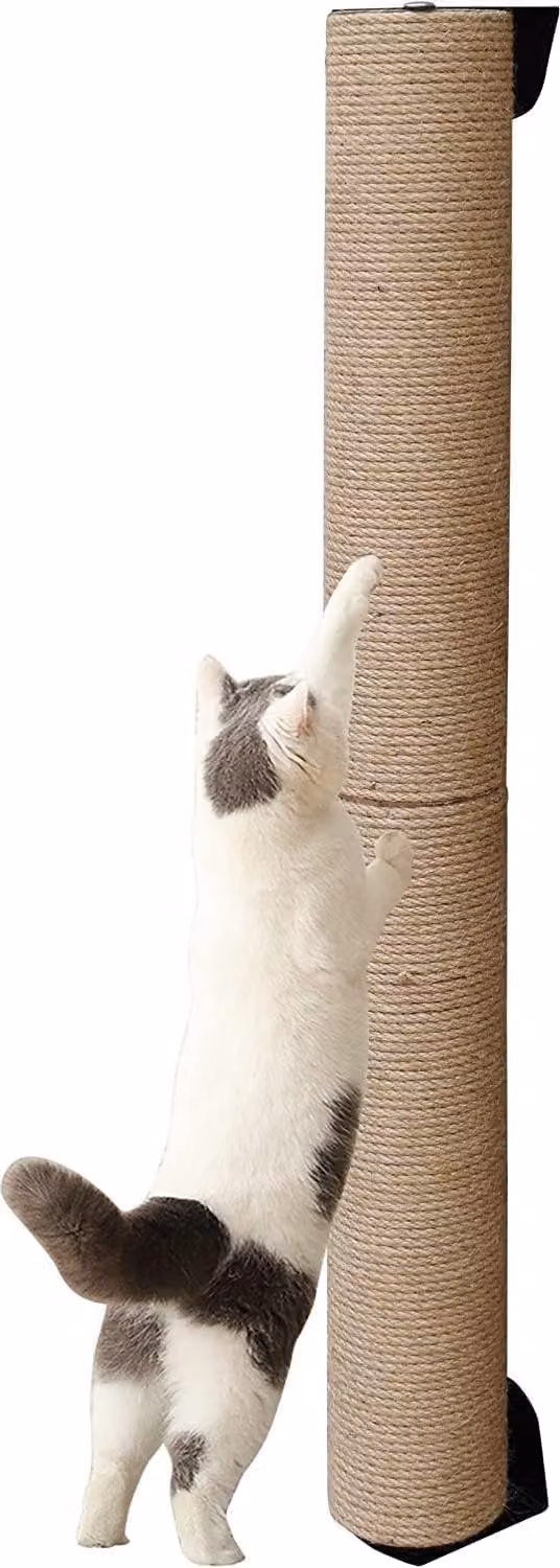 Albero per gatti Katzenbaum, altezza 81 cm, da montare a parete, rivestito in juta, ideale per gatti domestici