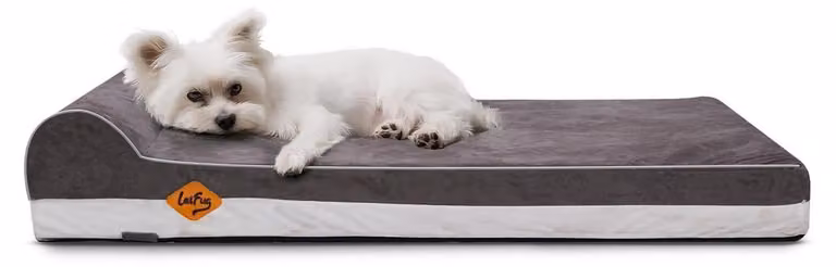 Cuccia ortopedica per cani in memory foam con cuscino, impermeabile, rivestimento removibile, grigia, 86x55x15 cm