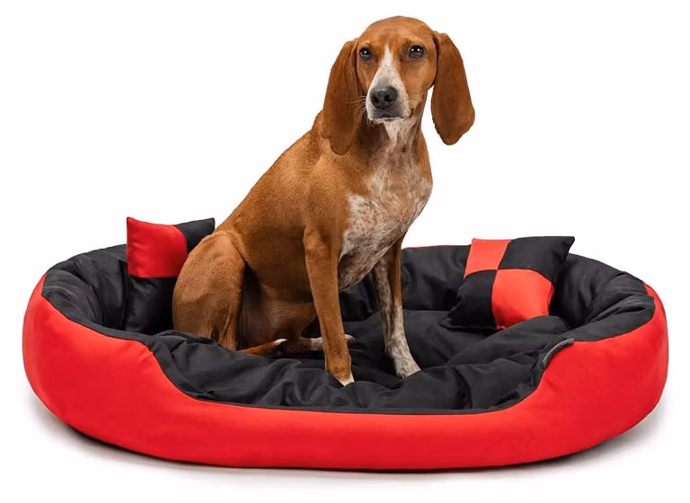 lettino per cani lionto, elegante cesto per cani 4 in 1, idrorepellente, antigraffio e di facile manutenzione, 85x70 cm, rosso/nero