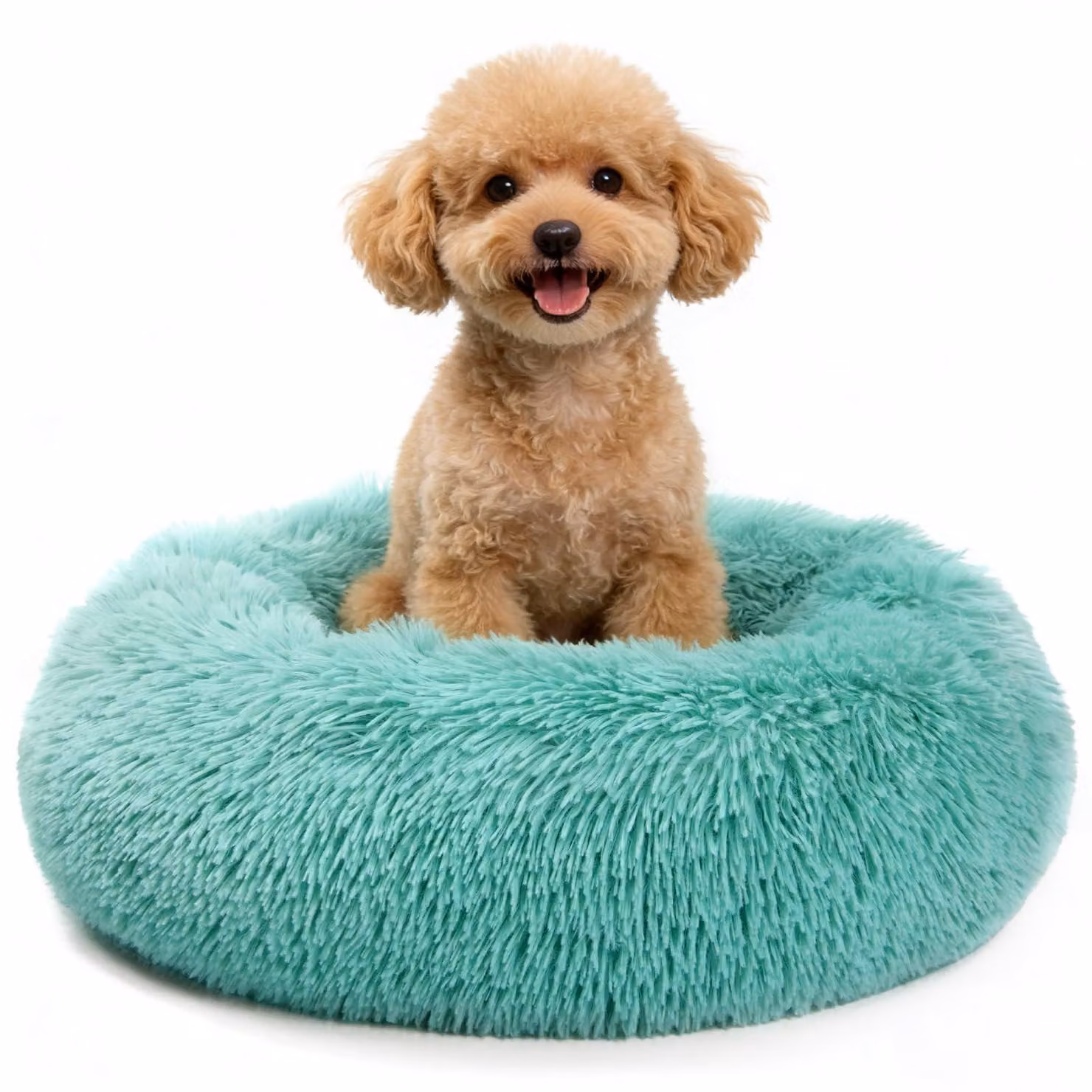 Cuccia rotonda per animali domestici, forma a ciambella, in peluche, diametro 60 cm, lavabile, per cani