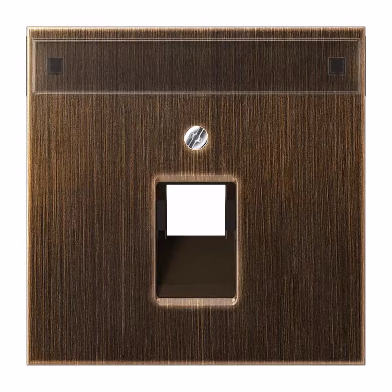 Jung ME2969-1NAUAAT Copertura con campo di scrittura 12 x 55 mm in ottone anticato