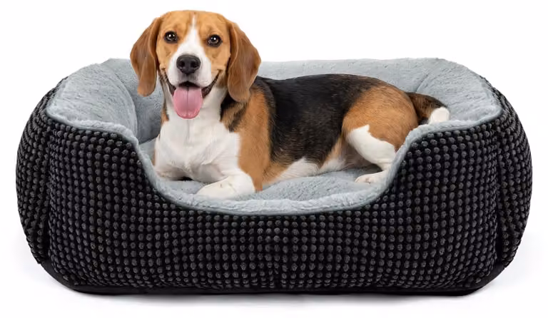 Cuccia per cani, dimensioni 63x53x20 cm, in peluche, lavabile, antiscivolo, adatta a cani di piccola taglia