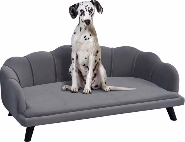 Divano per cani GIORDANOSHOP in tessuto grigio e turchese con struttura in legno di betulla, L: 98,5 cm, P: 60,5 cm, H: 35,5 cm – 1