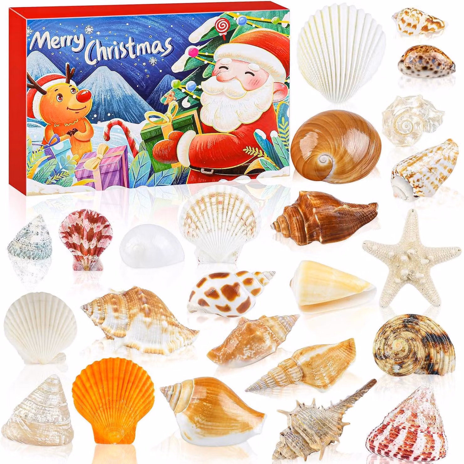 Calendario dell'Avvento di Natale 2025 - 24 giorni per contare i giorni che mancano - Regalo a tema nautico da spiaggia con stella marina