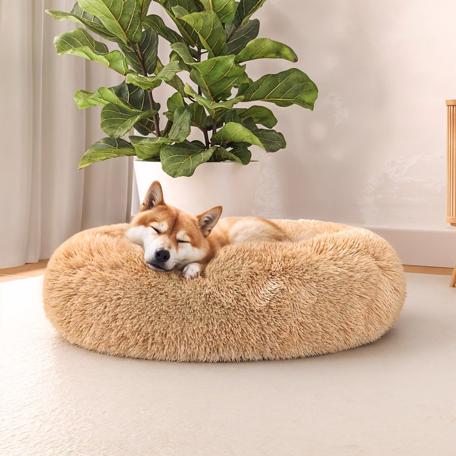 Lenzuola italiane, cuccia per cani accogliente, "Sogni per cani e gatti", colore vaniglia, 60