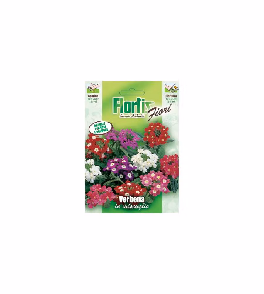 Verbena A Grandi Fiori