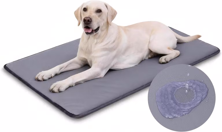 Cuccia impermeabile per cani, piccola, in ecopelle, portatile, lavabile, adatta sia per interni che per esterni