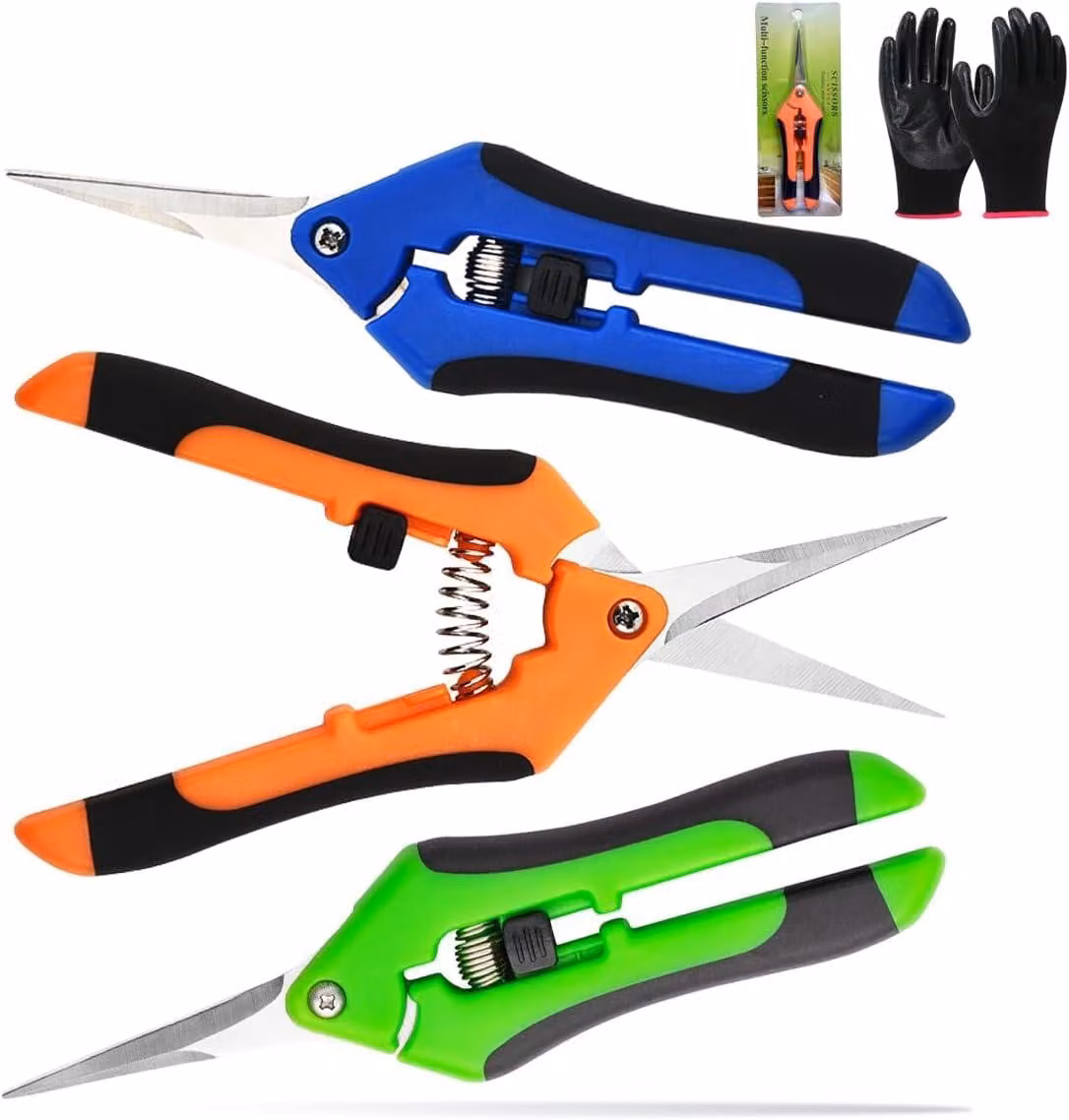 Set di 3 forbici da giardino, in acciaio inossidabile, lunghezza 16,5 cm, con guanti, per piante e fiori