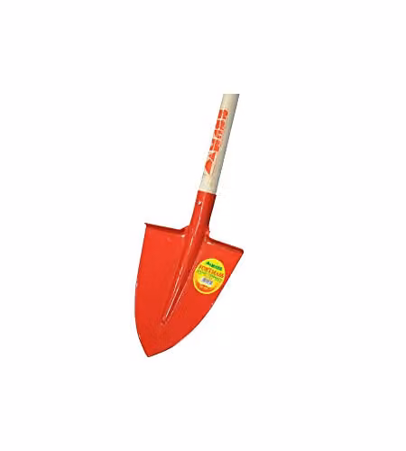 Vanga Punta Temprata Fort M/Ta                Mass