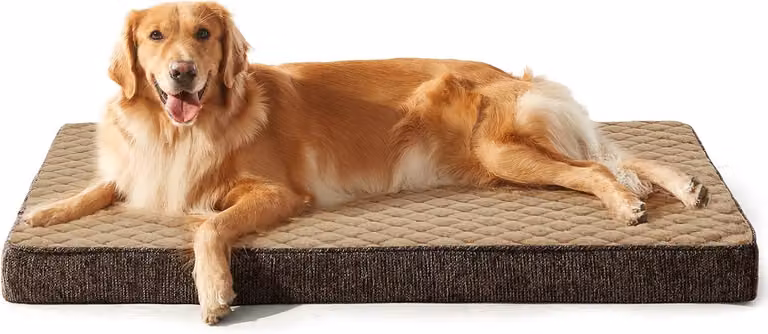 Cuccia per cani, taglia XXL, dimensioni 120 x 74 x 9 cm, lavabile, con base antiscivolo, per uso interno