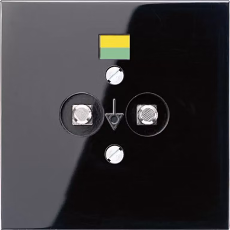 Jung LS965-2SW, presa di corrente per l'equipotenzializzazione, colore nero
