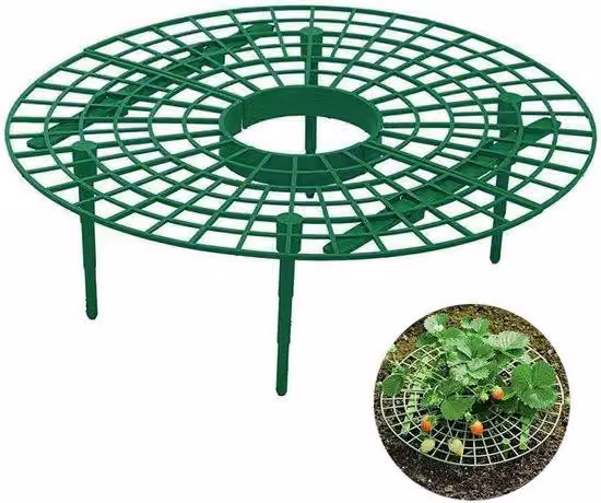 Rack per viti con sostegno per fave, fragole rosse