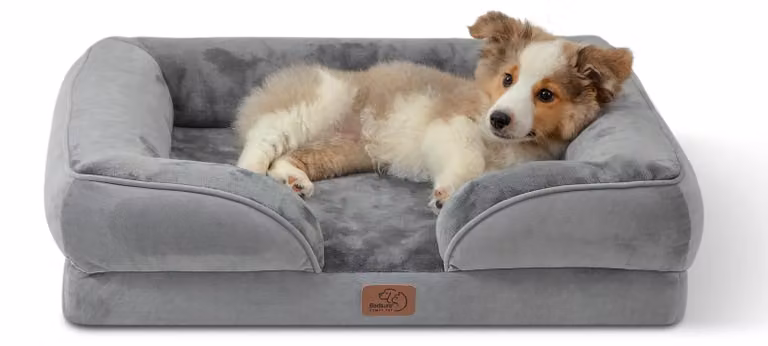 Cuccia ortopedica per cani lavabile - Letto per cani medio 71 x 58 cm - Grigio - Fodera interna impermeabile