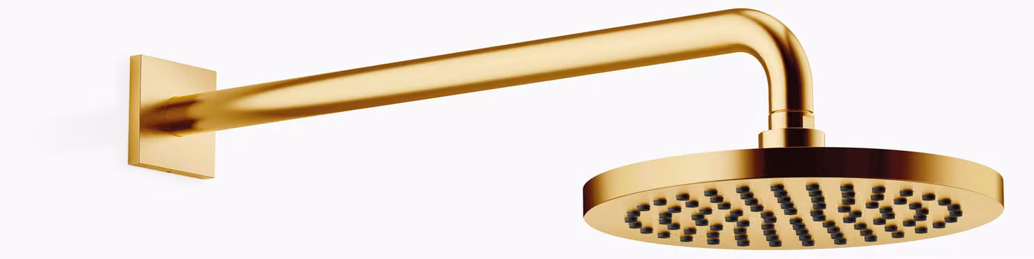 Douche de pluie Dornbracht avec fixation murale, saillie 450mm, Ø 220mm, flowReduce, 28648670-28, 28648670-28
