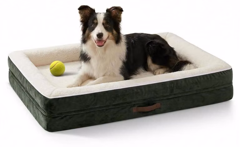 Cuccia ortopedica per cani, lavabile, colore verde oliva, dimensioni 91x61x18 cm
