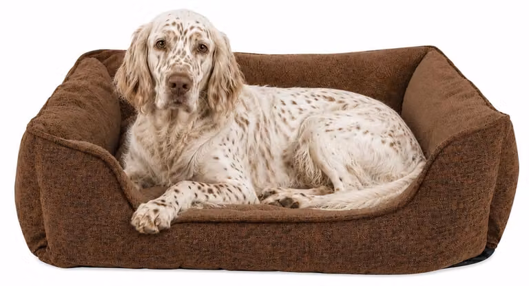 divano per cani lionto, letto moderno per cani con fondo antiscivolo, sfoderabile e interno in peluche, 90x75 cm, marrone
