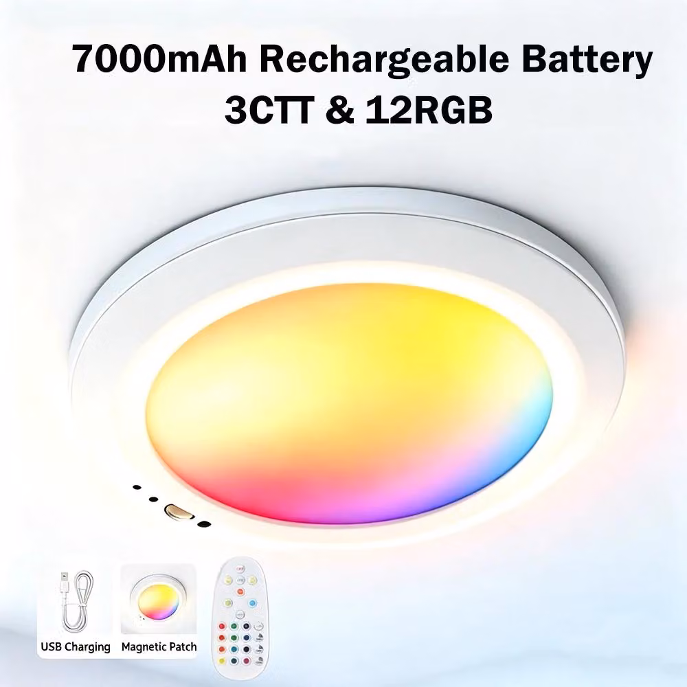 Lampada da soffitto moderna - Plafoniera LED - Telecomando - Dimmerabile - Batteria ricaricabile da 7000 mAh - Montaggio a parete - Illuminazione RGB - Bianco