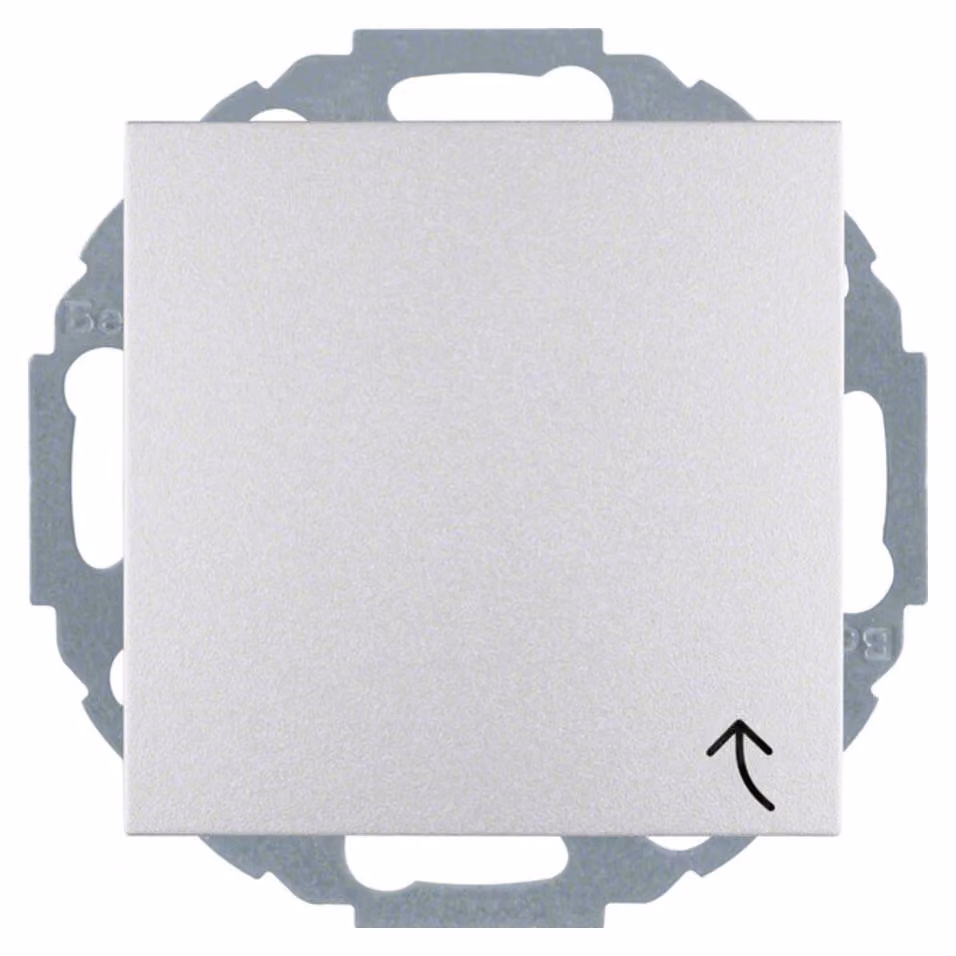 Presa Schuko Berker, alluminio/opaco con coperchio incernierato 47441404