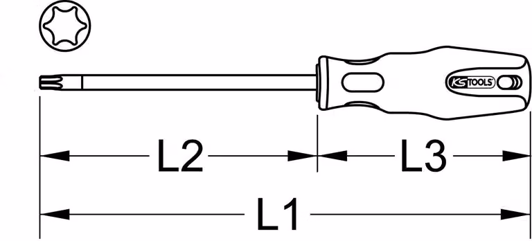 Cacciavite ERGOTORQUEplus, T20, lungo