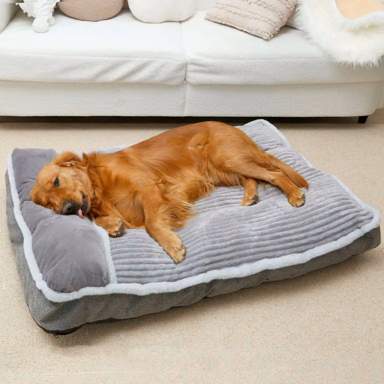 Solidchoice - Cuccia per cani di piccola taglia, morbida e confortevole, con cuscino imbottito per la testa