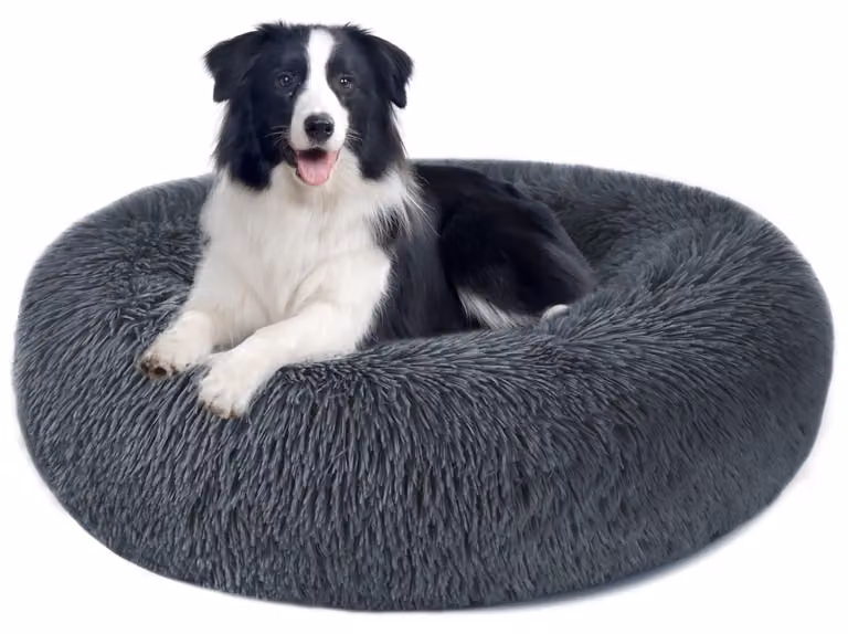Solidchoice - Cuccia a forma di ciambella, ideale per cani di piccola e media taglia