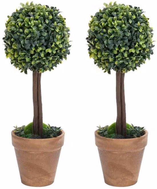Set di piante con vaso - Set da 2 - 33 cm - Verde