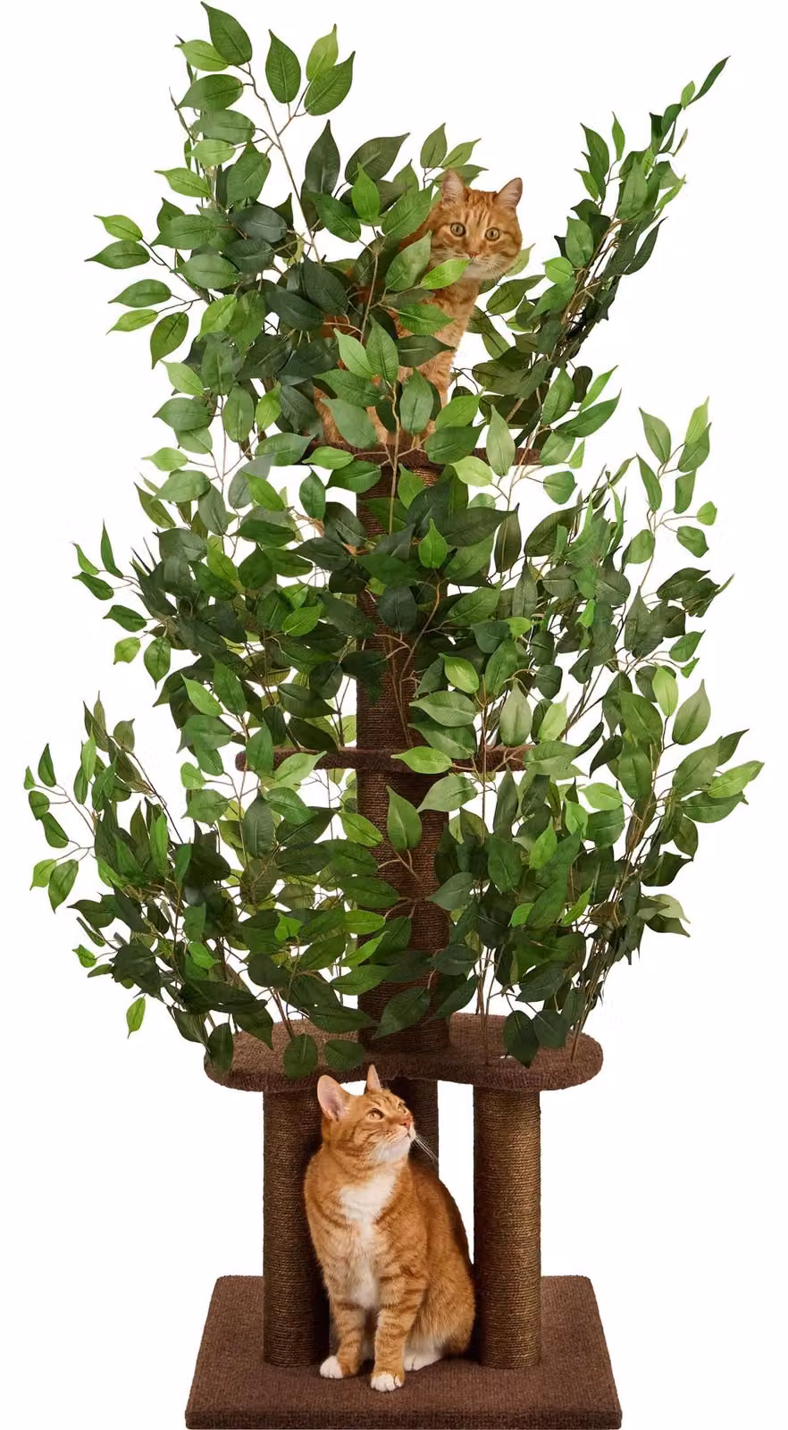 Albero per gatti con 4 livelli e tiragraffi, salvaspazio e resistente