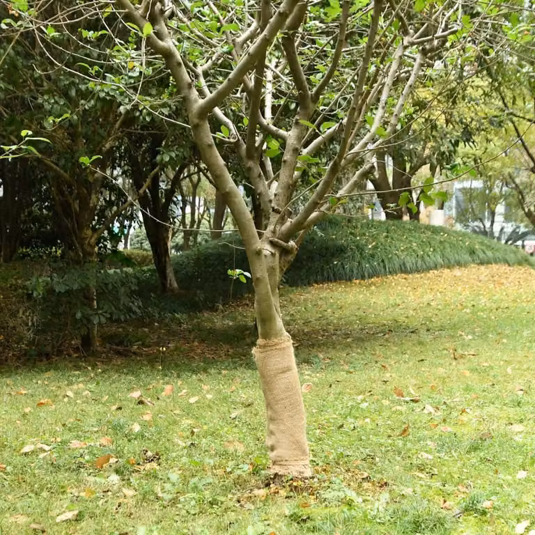 Rotolo di iuta 0,5x25 m 100% iuta 200 gsm