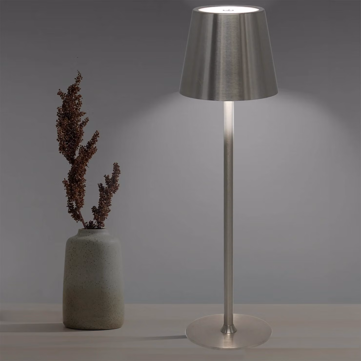 DICTROLUX Lampada da Tavolo LED Penelope Silver, Dimmerabile e Cordless con Controllo Touch e Ricarica USB – 2