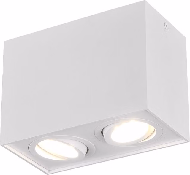 Plafoniera Biscuit Trio di Trio Leuchten in metallo bianca con 2 luci LED orientabili
